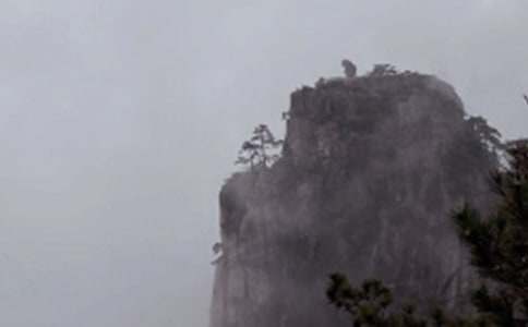 ��ɽ���δʴ�ȫ[8ƪ]