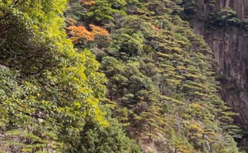 (推荐)黄山导游词