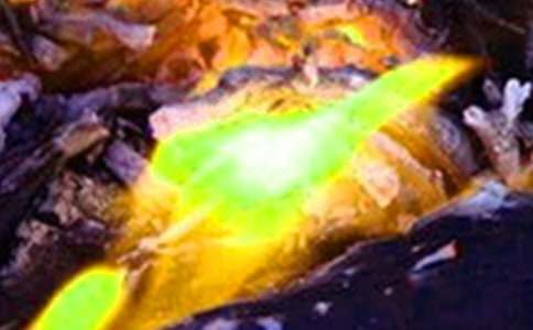 �����Բ鱨��