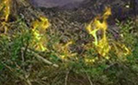 Ԥ�����ֹ㲥�壨ͨ��10ƪ��