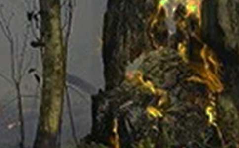 �����⳥Э���鷶��