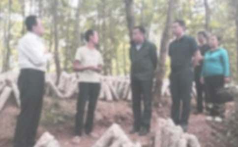 Υ��У��У�ͼ�����(��ѡ15ƪ)