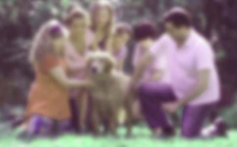 ��ͥ������ѧ�ƻ�