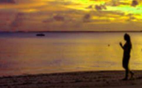 ��ѧ������ʵϰ�ܽ�(����14ƪ)