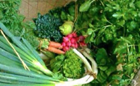 ʵ�õĽ��������ƻ����Ļ��7ƪ