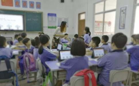 教学质量自查报告