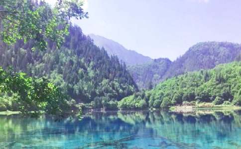 ���ھ�կ�����δ�15ƪ