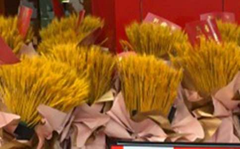 ��ѡ��ҵ��߻���ƪ