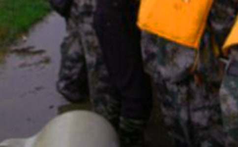 ��Ѵ���鹤���ܽ�ϼ�15ƪ