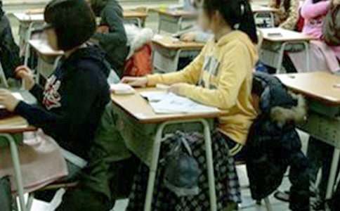 ���Թ����ܽ�