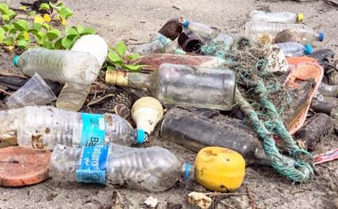 ���������ļ�����(���15ƪ)