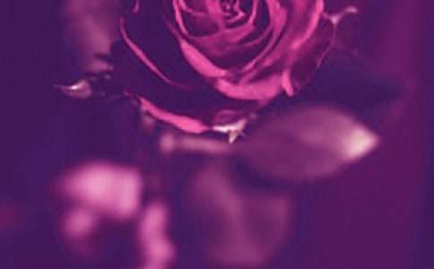 ��������˵˵���ԣ�ͨ��50�䣩