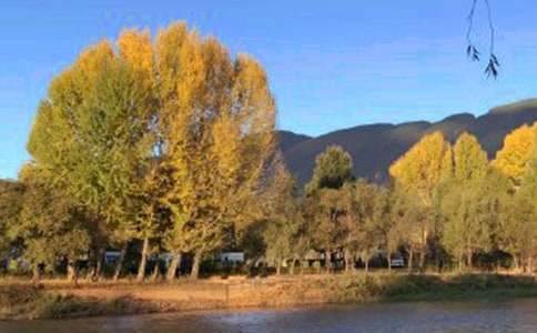 �����ųǵ��δ�