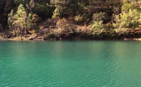 �����ųǵ��δʡ��Ƽ���