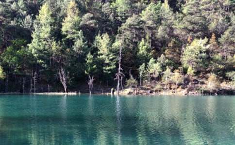 ���������ųǵĵ��δ�6ƪ