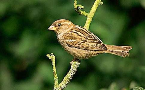 �����������ȸ��һ��ʱ��ѧ��˼��ͨ��5ƪ��