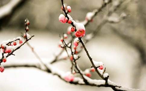 ÷�����ѧ���(ͨ��15ƪ)