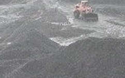 煤矿安全承诺书模板六篇