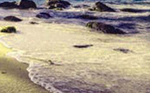 дɽ�������ĵ��δ�