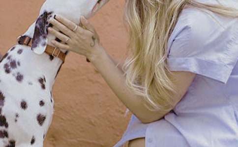 �ذ�Ů�Գ����鷶��