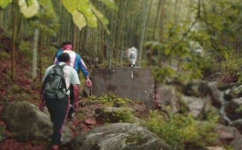 ����ɽ���Ľš���ѧ��˼����15ƪ