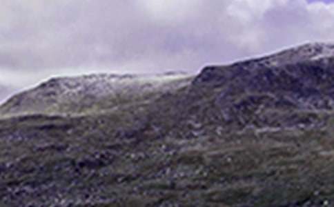 ��ɽ���ĽŽ�ѧ���