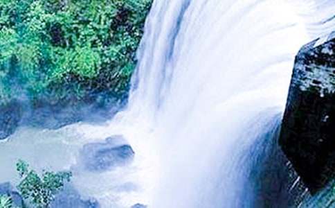 �ƹ����ٲ���ѧ���(����15ƪ)