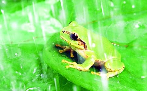 �йر������ܳ�������ƪ