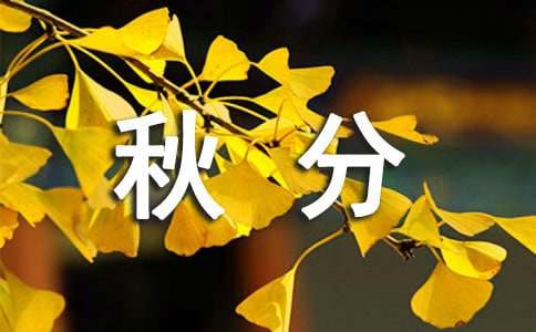 ���ף�������