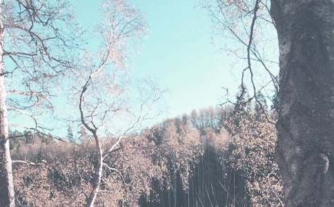 �а��＾�����ƻ�