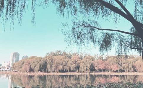 Сѧ�＾ѧ�ڹ����ƻ�