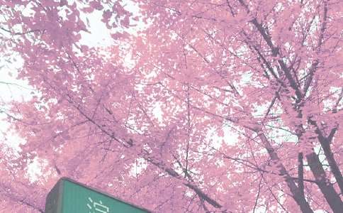 ����ѡ���＾�����ƻ����ĺϼ�8ƪ