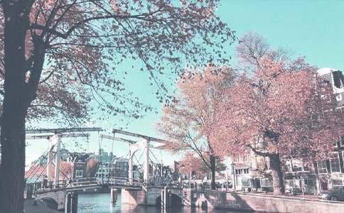 �＾��ѧ�����ܽ�ģ�����ƪ