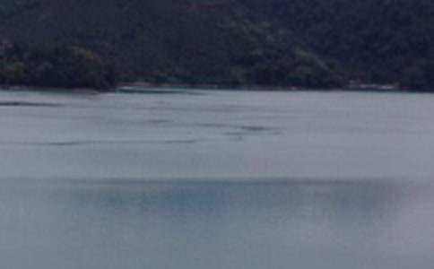 ������̶�����꼶��ѧ���4ƪ