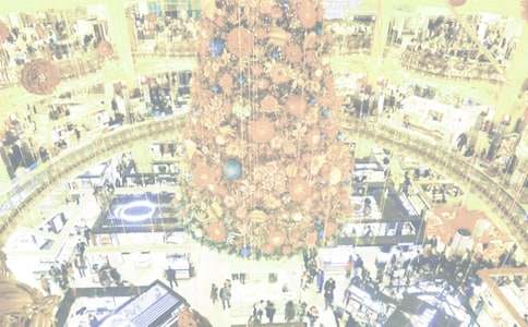 �������̳����������