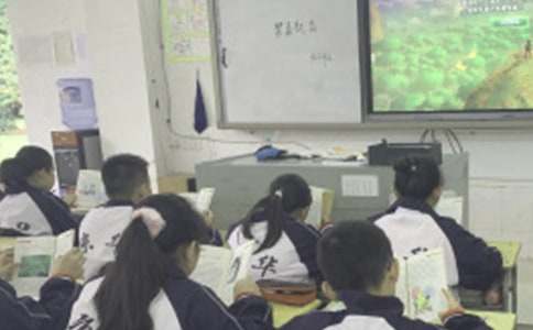 �Ͽγٵ������鼯��15ƪ