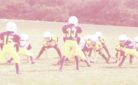 ����������ѧ���15ƪ