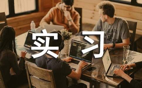 【精选】专业实习报告范文