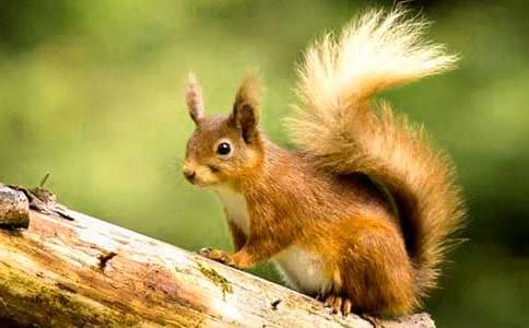 �����ѧ���