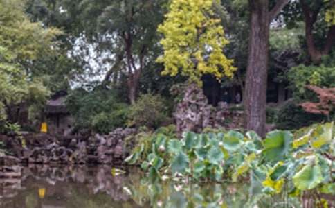 ����԰�ֽ�ѧ���(15ƪ)