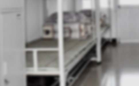 ѧ����������������