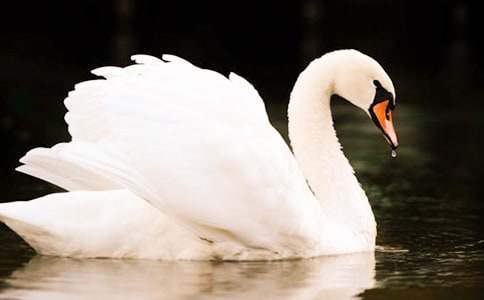 ���Ĺ��½�ѧ��˼