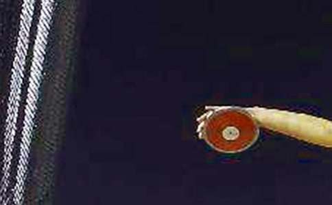 �������͸�14ƪ