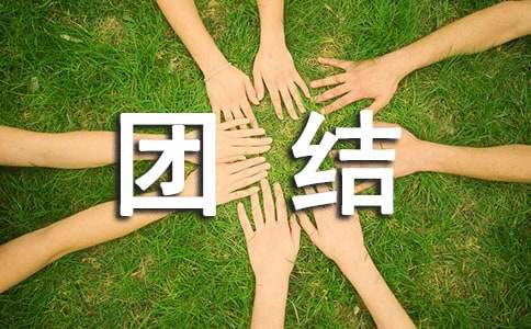 [��ѡ]�����Ž���������»�ܽ�