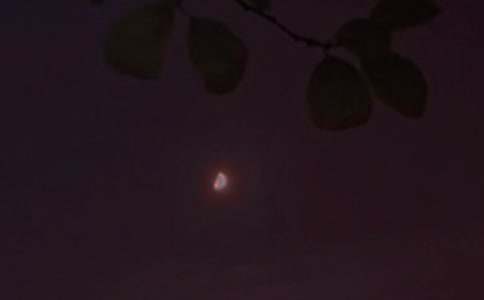 �й�Ψ���������ʺ�����ż���77��