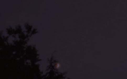 热门朋友圈晚安祝福语(精选185句)