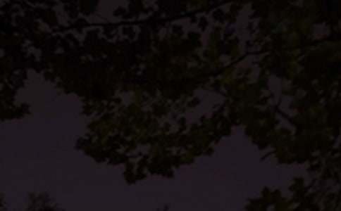 ��������Ȧ���������ȫ����ѡ75�䣩