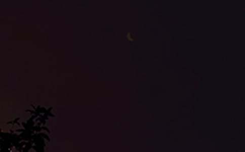 ������ܰ�������ʺ�����Ŵ����86��