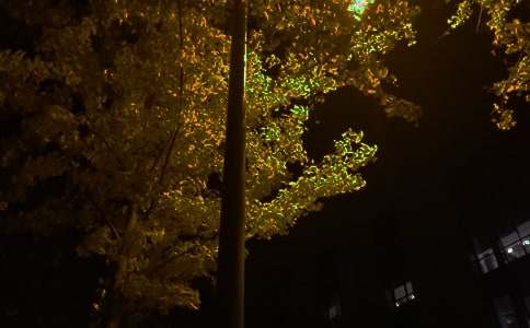 �Ƽ���־�����ʺ����ȫ185�侫ѡ