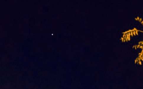 ���������ʺ���ϼ�40��